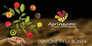 azienda-agricola-agrinsieme-banner