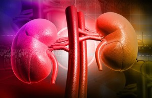 INSUFFICIENZA-RENALE