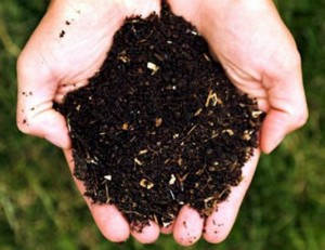 compostaggio
