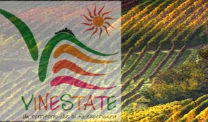 vinestate
