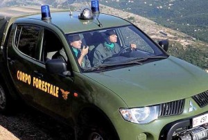 jeep-forestale