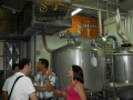 beer (8)