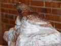 igiornidelmarmo (74)