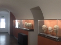 Museo Sannio bookshop 074