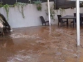 Pupisi_alluvione (1)