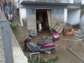 Pupisi_alluvione (1)