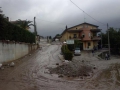 Pupisi_alluvione (11)