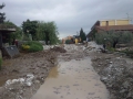 Pupisi_alluvione (13)