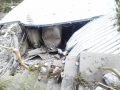 Pupisi_alluvione (14)
