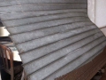 Pupisi_alluvione (2)