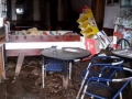 Pupisi_alluvione (3)