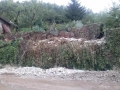 Pupisi_alluvione (3)
