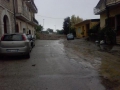 Pupisi_alluvione (4)