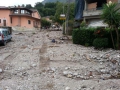 Pupisi_alluvione (9)