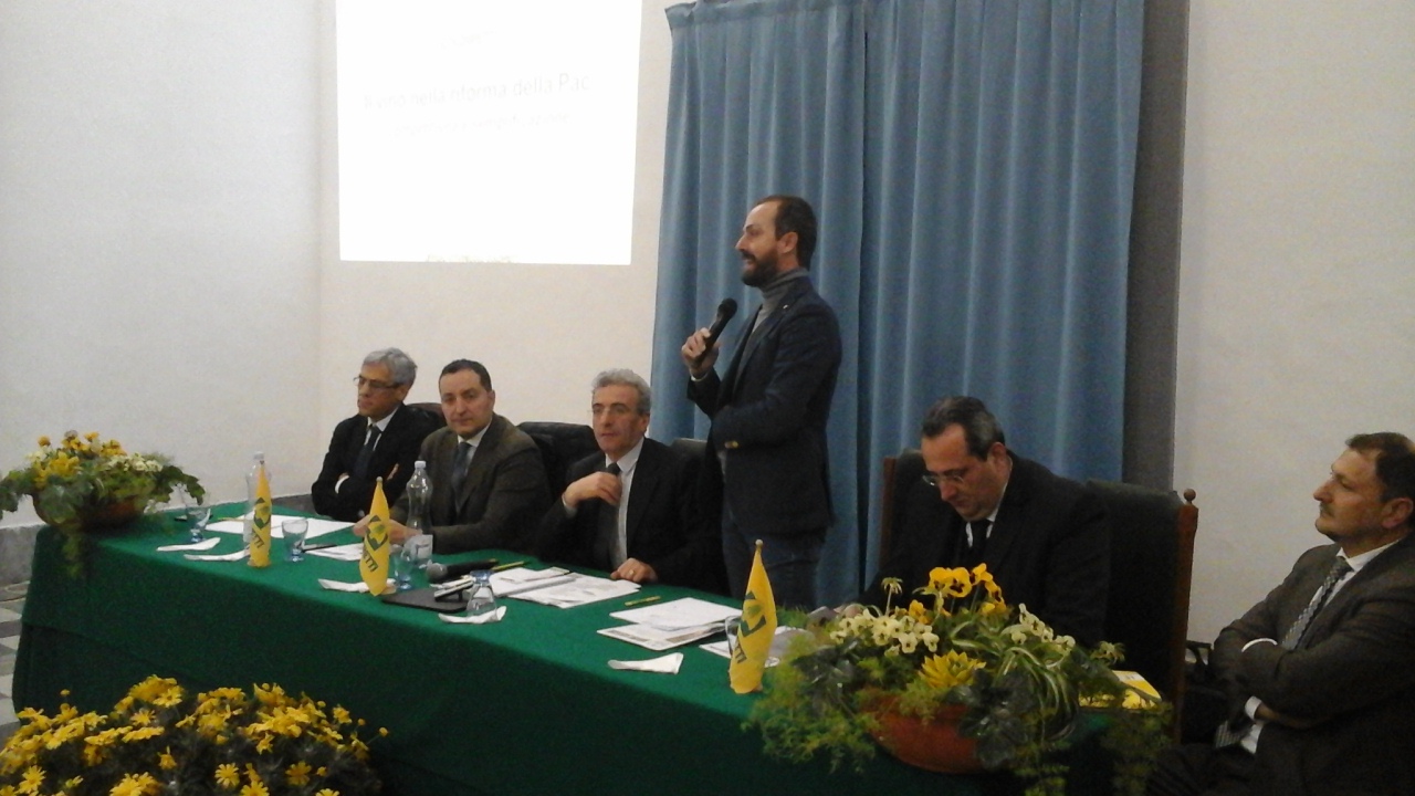 La programmazione dell’Ocm Unica con smantellamento del sistema delle quote è quanto emerge dal convegno su ‘Il vino nella riforma della Pac’