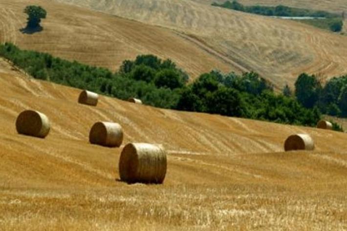 Imu agricola, dal Governo l’ok alla revisione dei criteri di esenzione