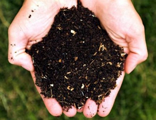 Amorosi sempre più green, il Comune avvia il compostaggio domestico
