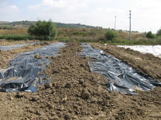 Usb, tenutisi incontri istituzionali circa le difficoltà in cui versano i lavoratori dei Consorzi di Bacino