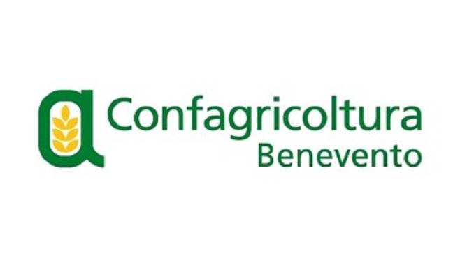 Toni De Cicco è il nuovo presidente di Confagricoltura Benevento