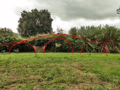 Beni archeologici, Febbraro: “Censimento dei monumenti per permettere di operare a finanziatori ed associazioni”