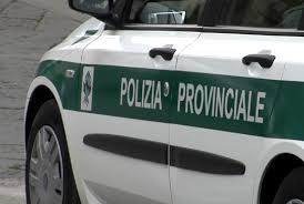 Polizia Provinciale, decretata riscossione coattiva multe del 2014