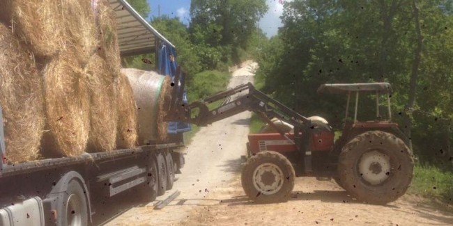 La Cooperativa San Giorgio Carni dona fieno agli allevatori di Norcia