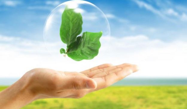 Trasmessa al Parlamento la Relazione ministeriale sullo Stato dell’Ambiente