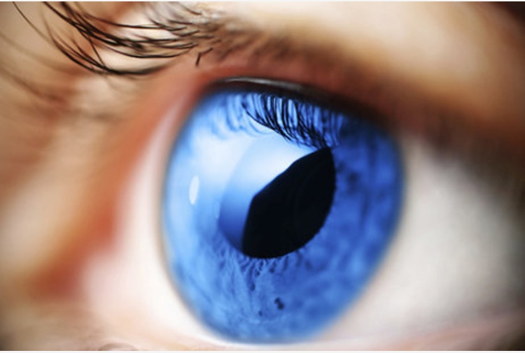 Sabato, ad Apollosa, giornata di prevenzione gratuita dal glaucoma