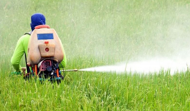 Condanna Monsanto: Coldiretti, Italia leader divieti glifosfato