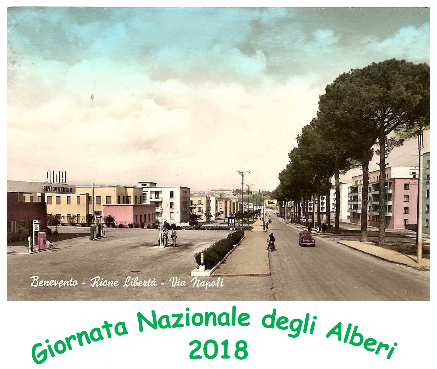Domani manifestazione a Benevento per la ‘Giornata Nazionale degli Alberi’