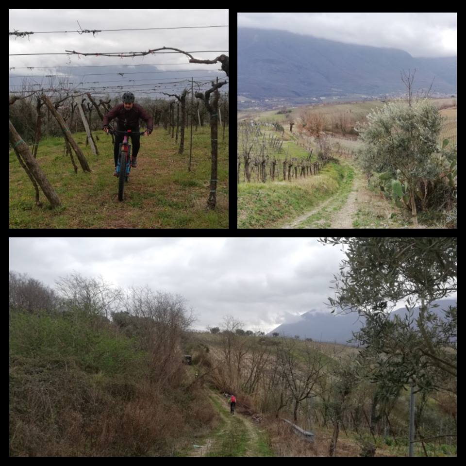 Dal 21 marzo, a Castelvenere, anteprima Vinitaly con ‘Camaiola Wine Festival’