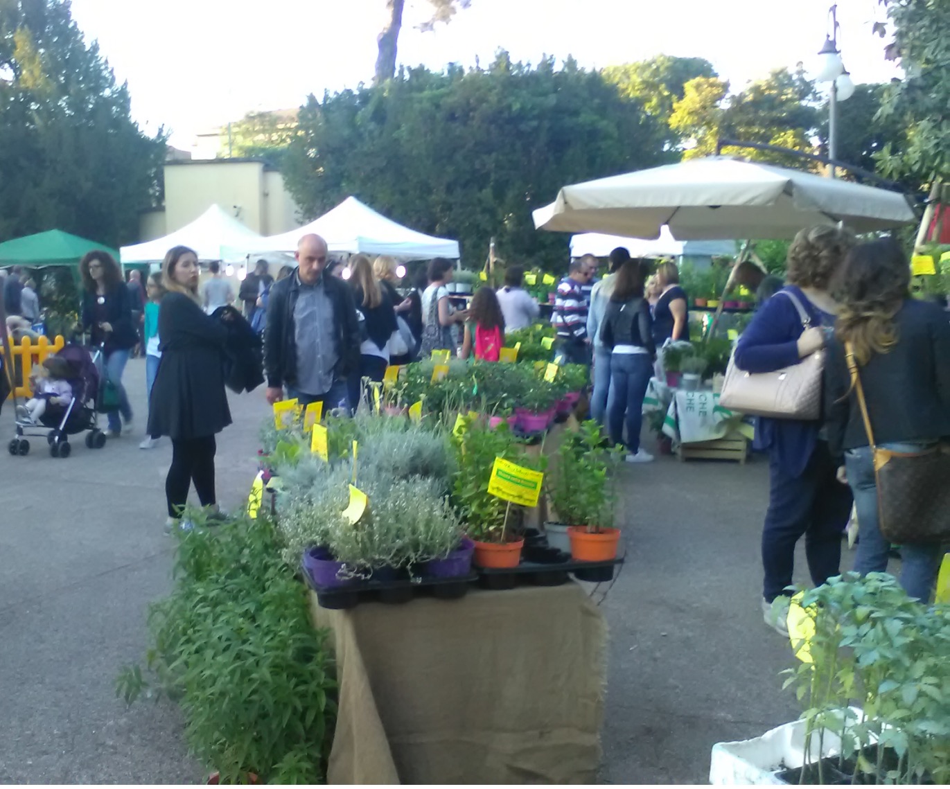 Tutto pronto per ‘Benevento città in fiore’ nella villa comunale dal 17 maggio