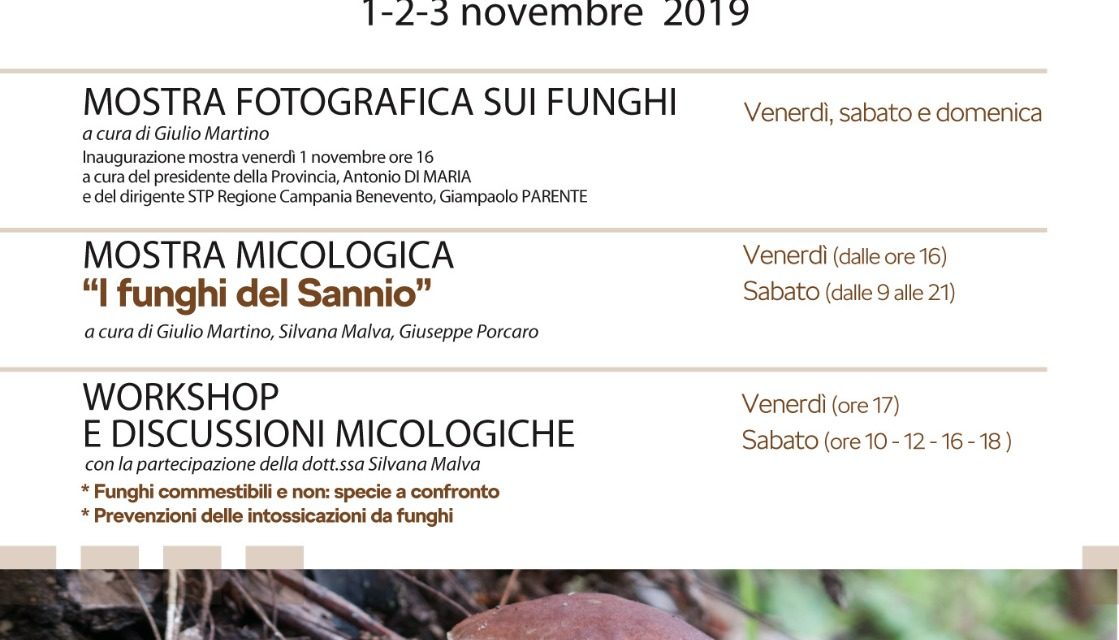 Dal primo novembre incontri mitologici alla Rocca con la rassegna ‘Buoni da morire’