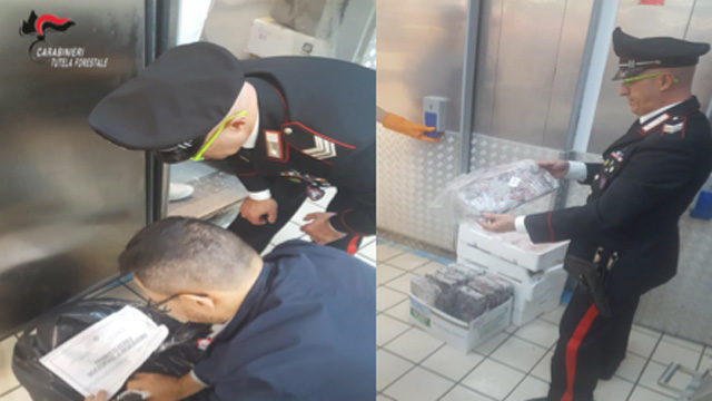 Telese, controlli straordinari dei forestali ai prodotti ittici