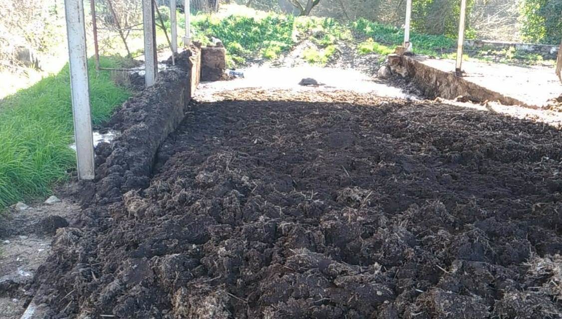 Apice, sequestro di allevamento avicolo per illeciti ambientali