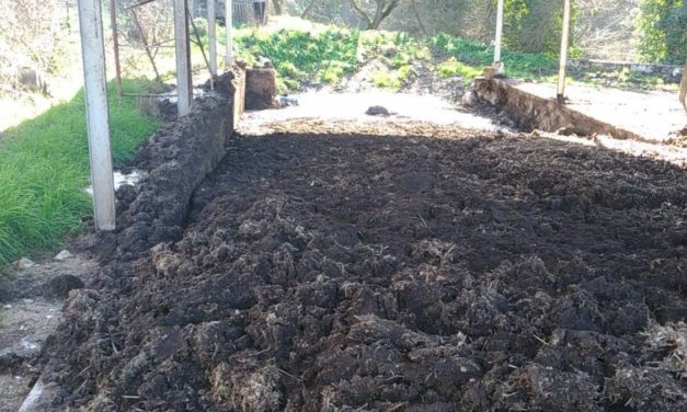 Apice, sequestro di allevamento avicolo per illeciti ambientali