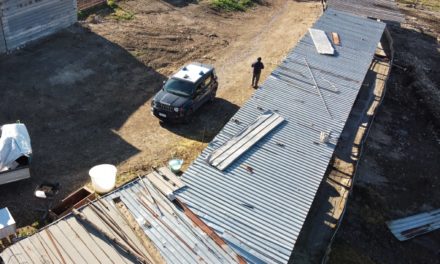 Sant’Agata dei Goti, i Forestali sequestrano un allevamento abusivo di suini