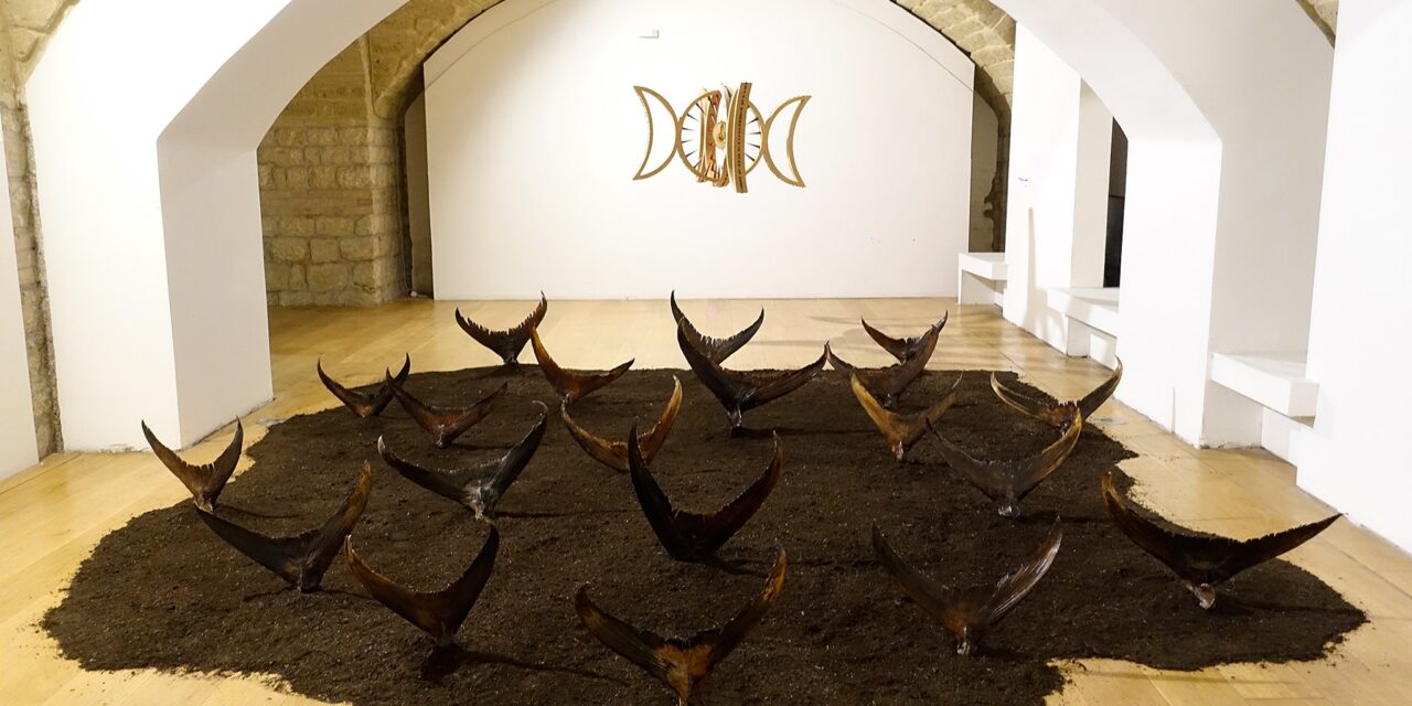 Museo Arcosoli, prorogata al 30 agosto prossimo la mostra di Laura Niola
