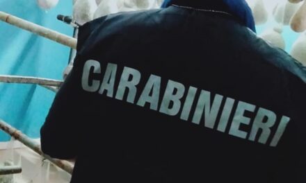 Controlli nel settore lattiero-caseario, scarsa igiene in azienda del Fortore