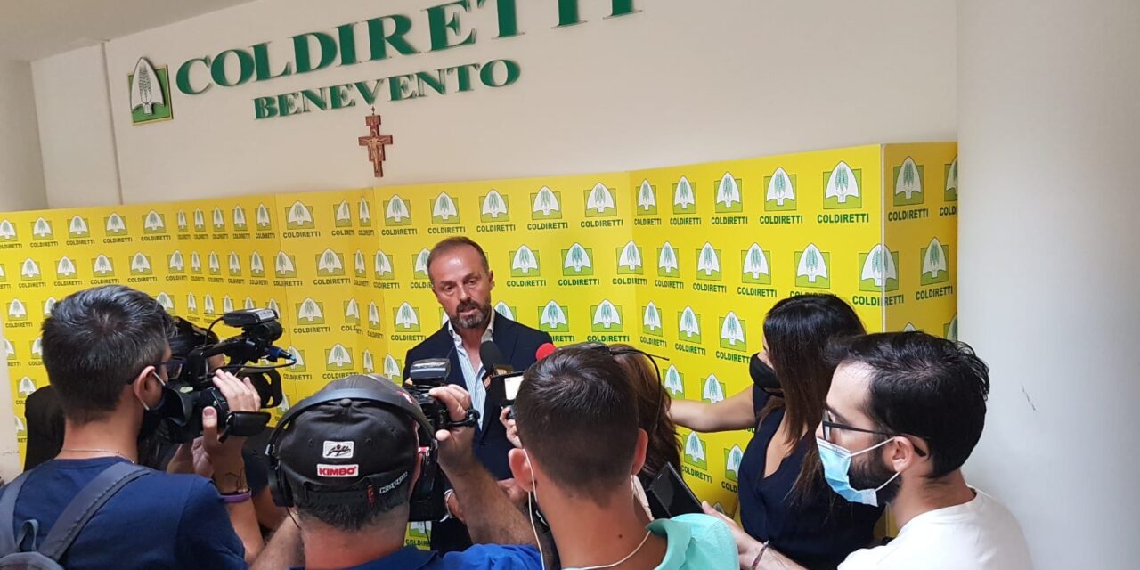 Speculazioni uva, Coldiretti 1Kg di falanghina Sannio costa 0,60 euro