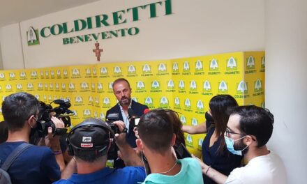 Speculazioni uva, Coldiretti 1Kg di falanghina Sannio costa 0,60 euro