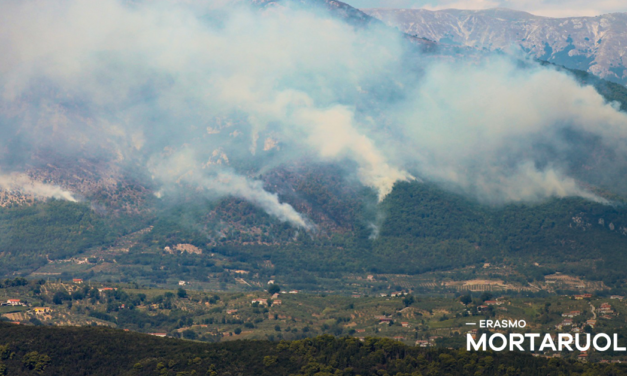 Brucia il Monte Erbano, Mortaruolo: “Ferita nel cuore verde del Sannio”