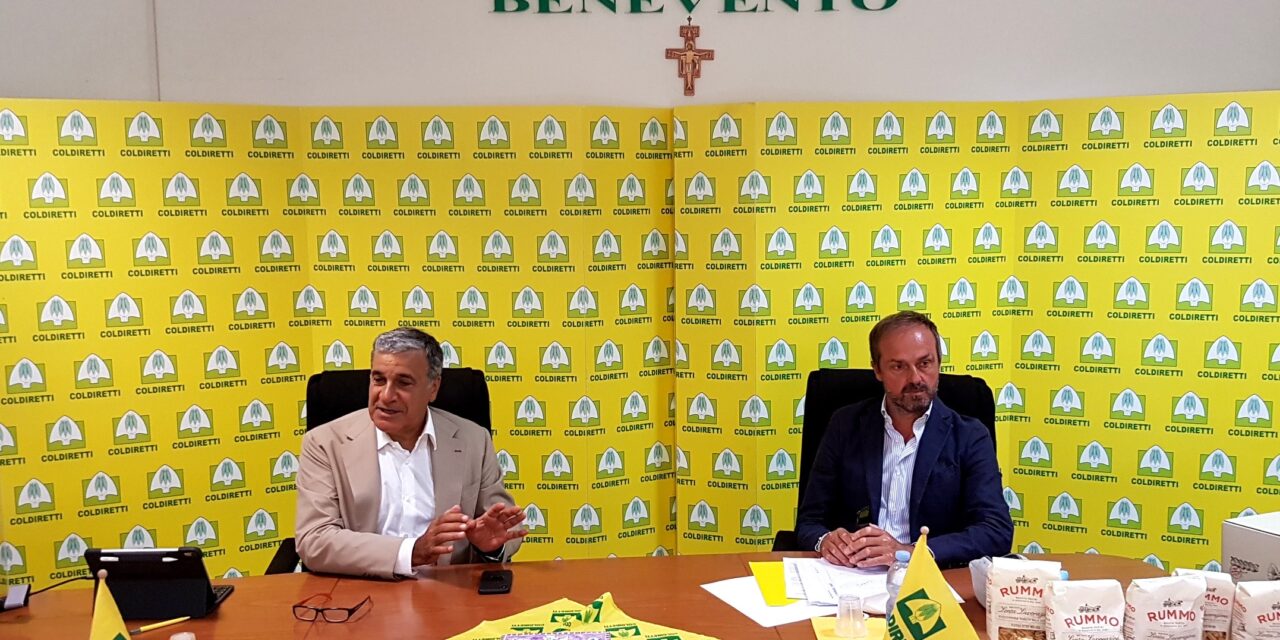 Filiera pasta, Coldiretti: con Rummo obiettivo 100% granì Sannita