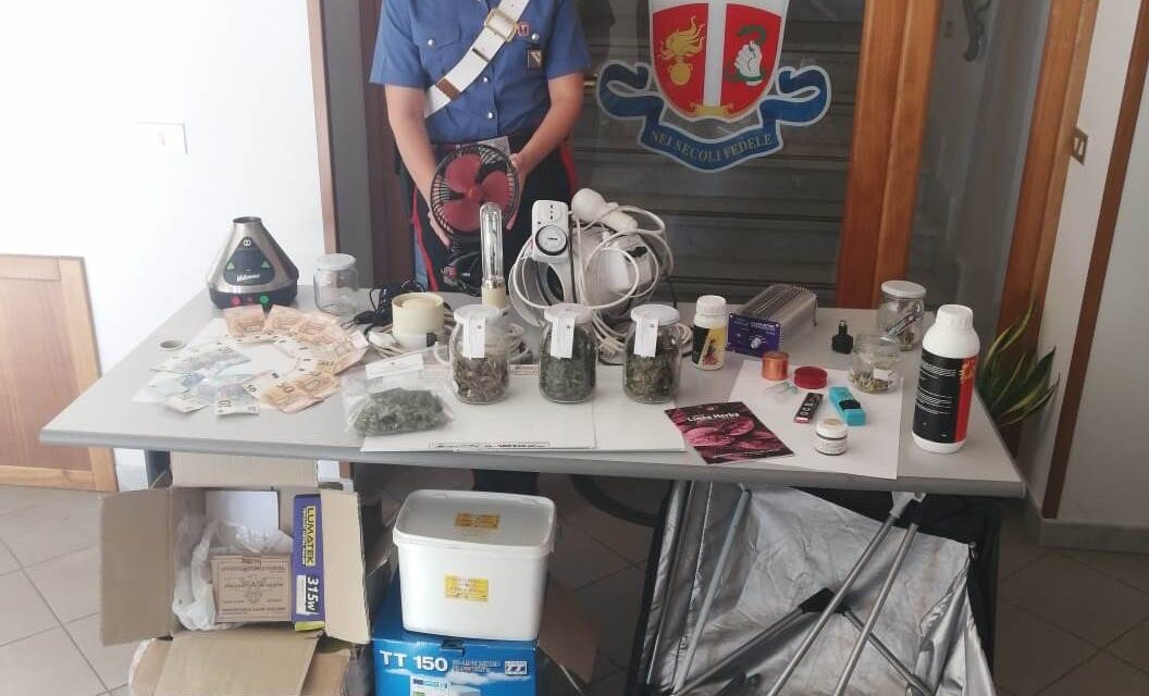 Baselice, pusher in manette