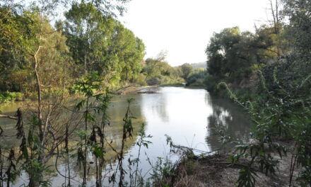 Messa in sicurezza fiume Calore in località Pantano, la Provincia approva il progetto