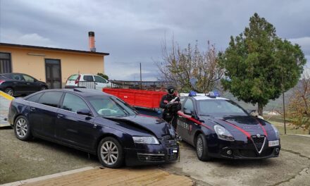 Furto ad un supermarket di San Bartolomeo in Galdo
