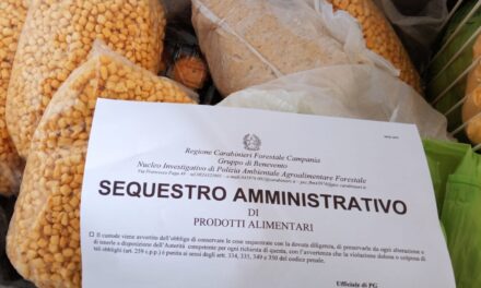 Con l’operazione ‘Christmas Foods’ sequestrati nel Sannio prodotti alimentari tipici natalizi