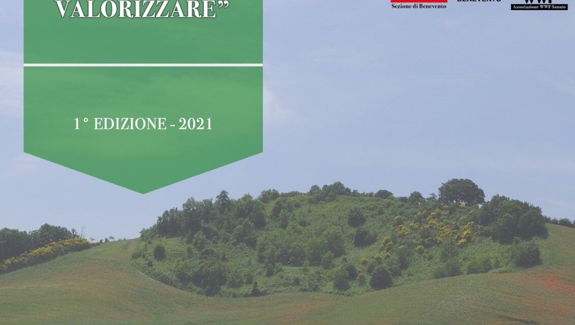 Conoscere il Sannio e la sua identità territoriale, al via la prima edizione del concorso fotografico promosso da agronomi e forestali