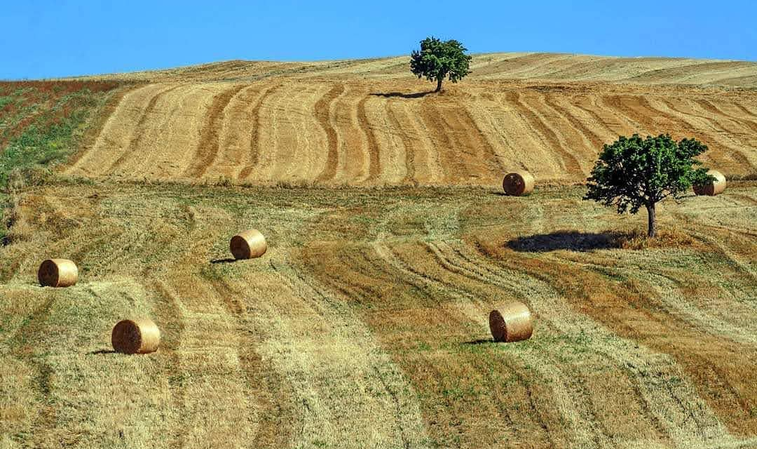 Dal Sannio a Siviglia in nome della dieta mediterranea