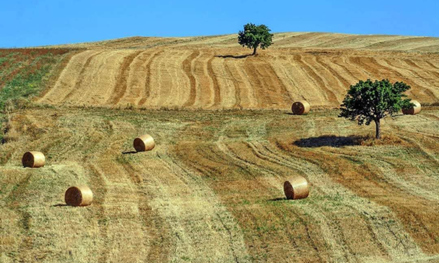 Dal Sannio a Siviglia in nome della dieta mediterranea
